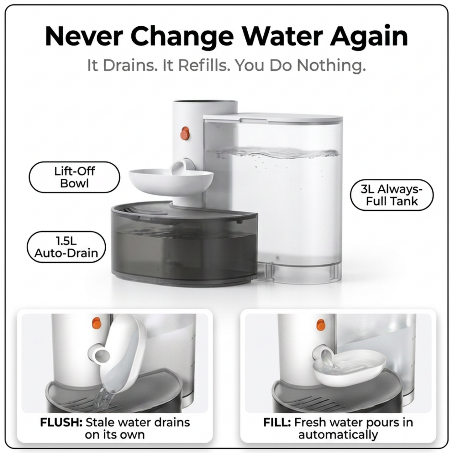 Cordless Pet Water Dispenser