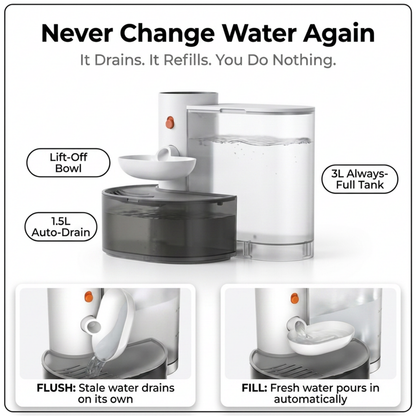 Cordless Pet Water Dispenser