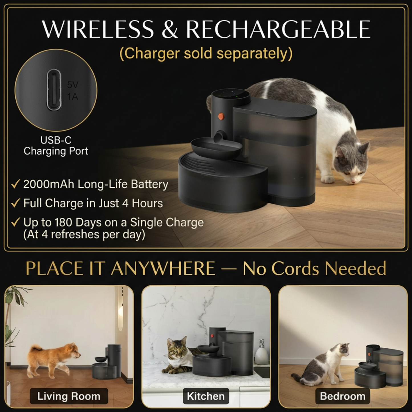 Cordless Pet Water Dispenser