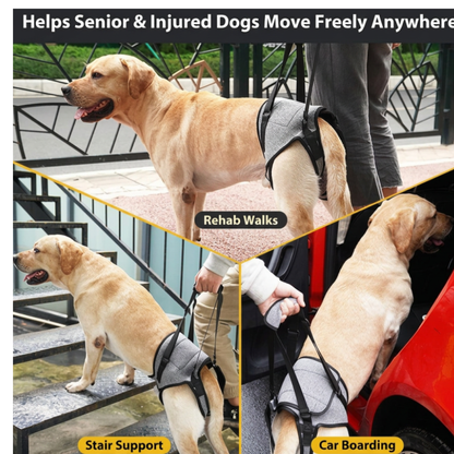 Dog Support Harness for Elderly Dogs - Back Leg Assistance Strap for Walking Support
